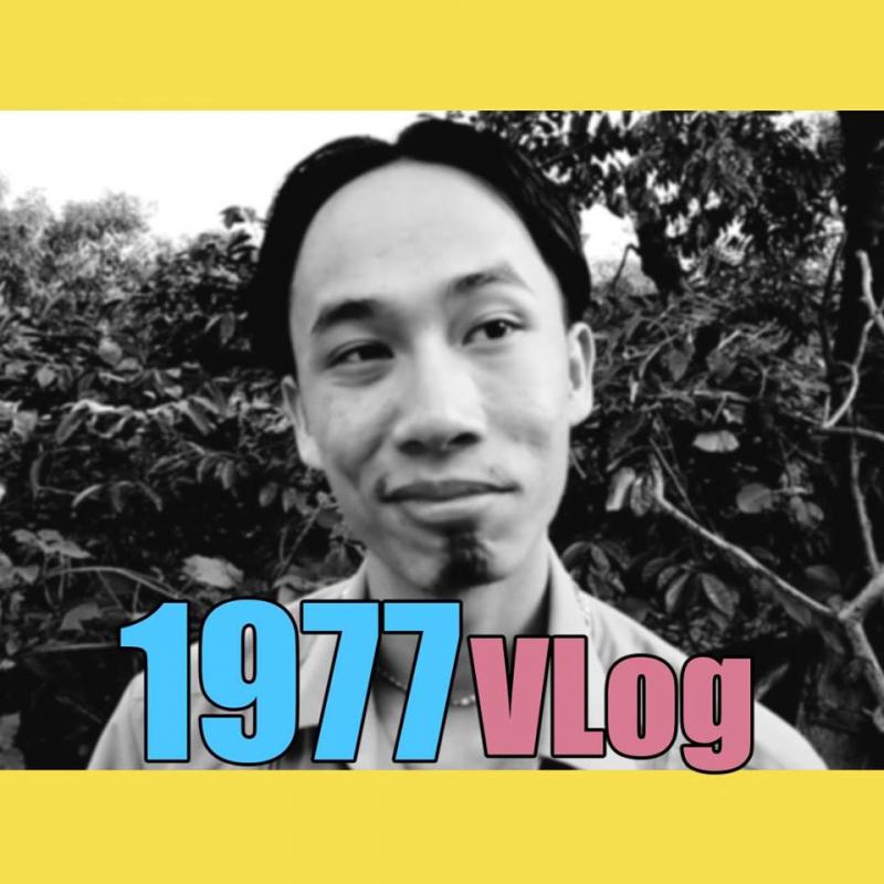 vlog 1977