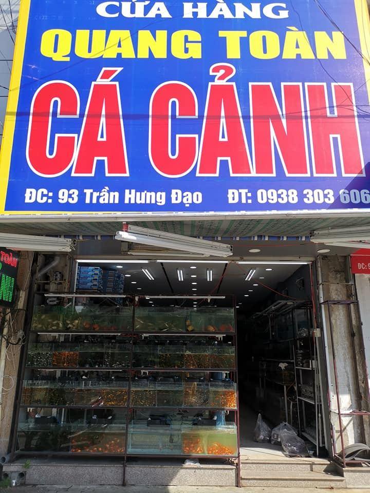 cửa hàng cá cảnh offline