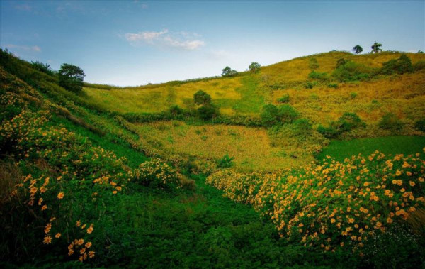 Pleiku Highlands