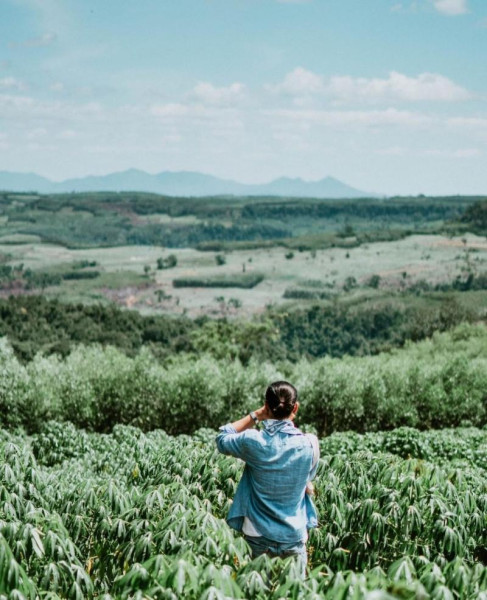 Van Hoa Plateau on kuuluisa viehättävistä maisemistaan