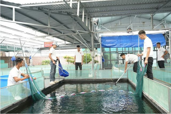 Ishi Koi Farm