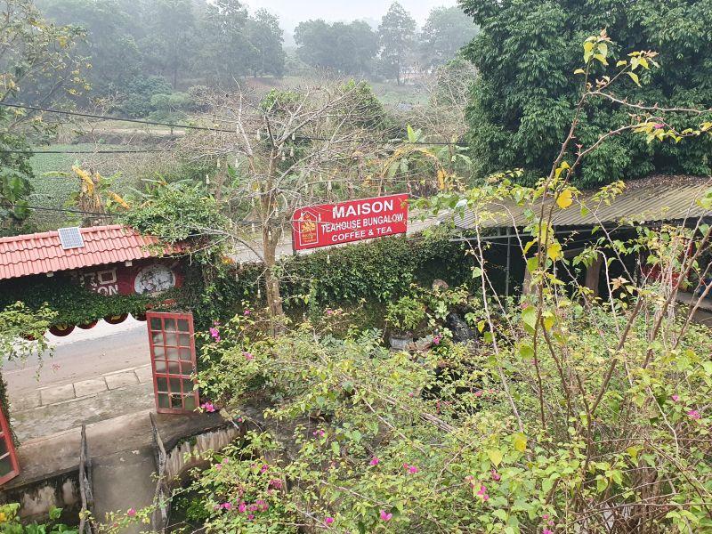 Bungalow phòng trà Maison