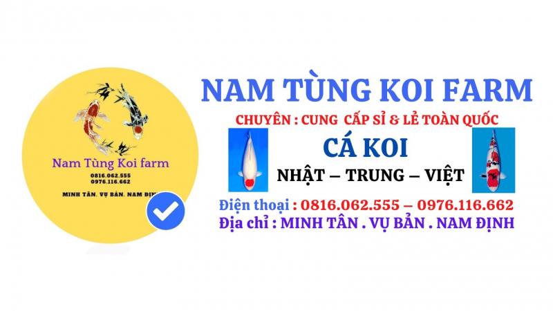 Trang Trại Cá Koi Nam Tung