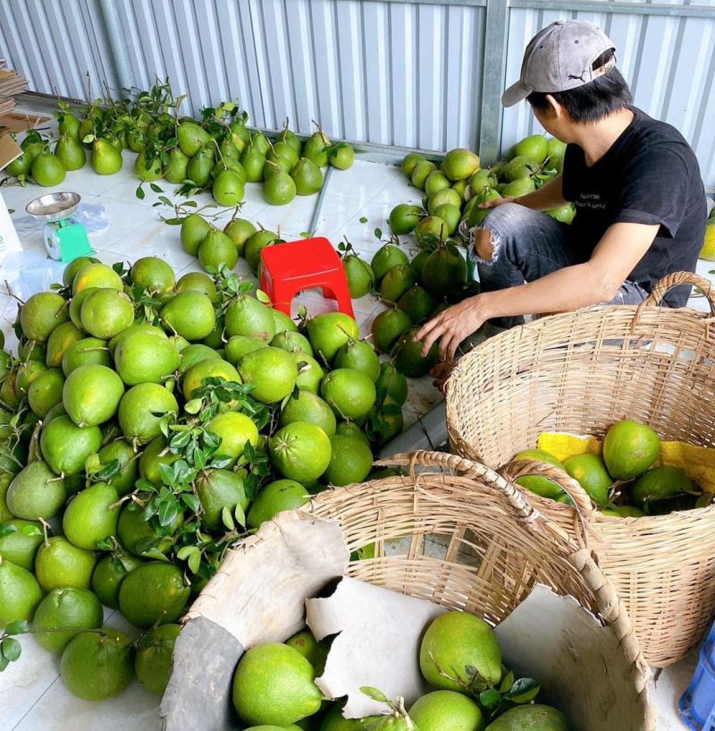 Thực phẩm hữu cơ Nhật Hà