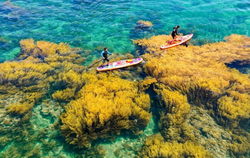 Quy Nhon, Bình Định